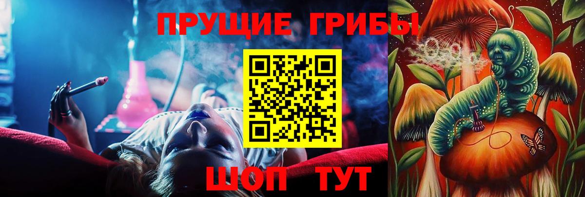 Галлюциногенные грибы Psilocybe  купить наркотики цена  Вход с VPN  Котлас  Псилоцибиновые грибы прущие грибы 