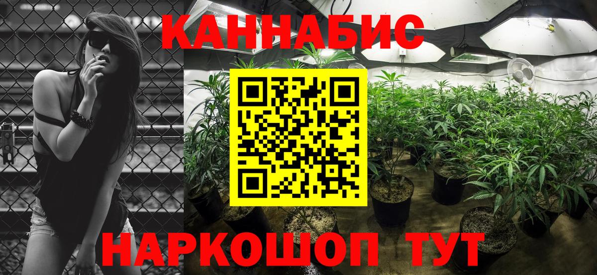 Марихуана гибрид Котлас